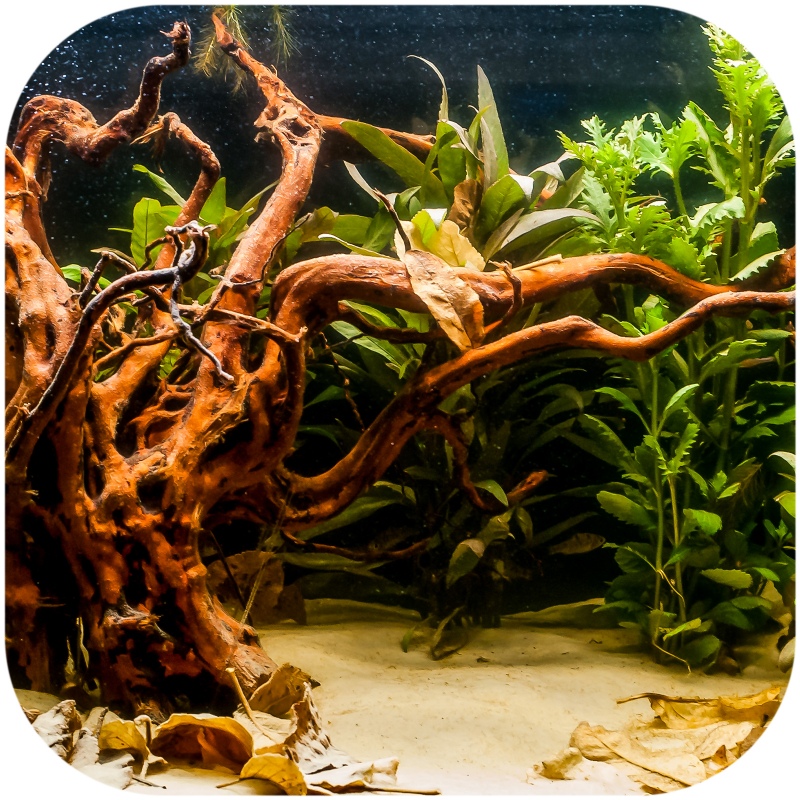 Shizen Essence J-roots XS for aquariums